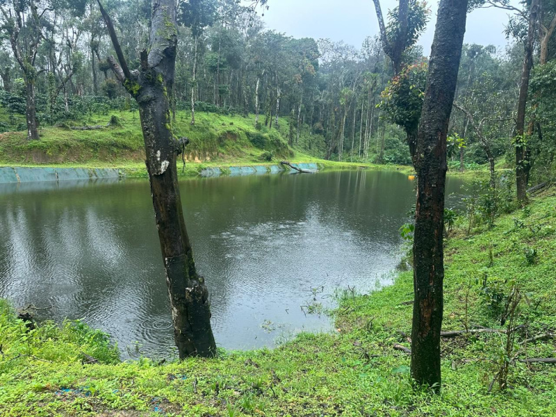  Agricultural Land 40 Acre for Sale in Sakleshpur, Chikmagalur