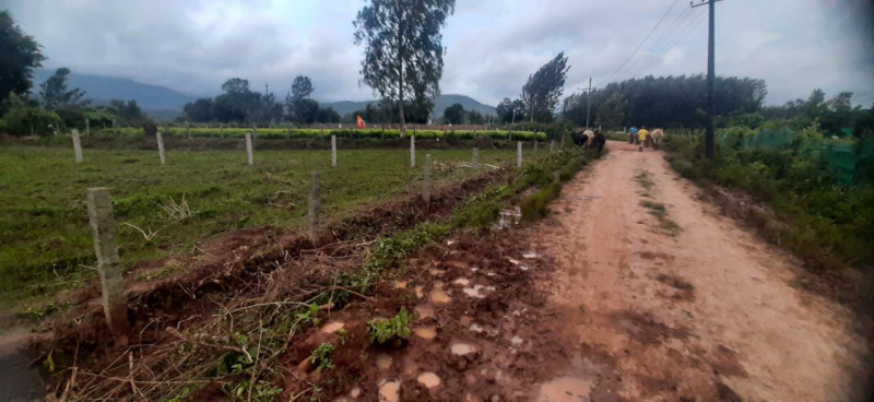  Agricultural Land 12 Guntha for Sale in Aldur, Chikmagalur