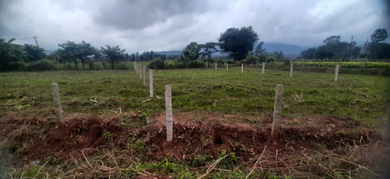  Agricultural Land 12 Guntha for Sale in Aldur, Chikmagalur