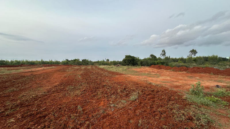  Commercial Land 1 Acre for Sale in Kammasandra, Bangalore