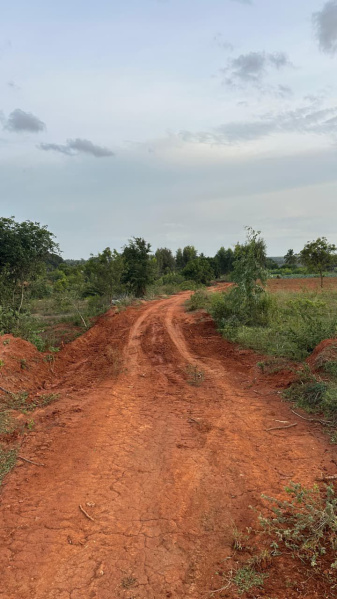  Commercial Land 1 Acre for Sale in Kammasandra, Bangalore