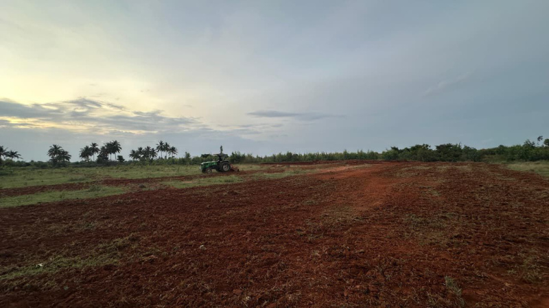 Commercial Land 1 Acre for Sale in Kammasandra, Bangalore
