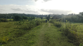  Agricultural Land for Sale in Alur, Hassan