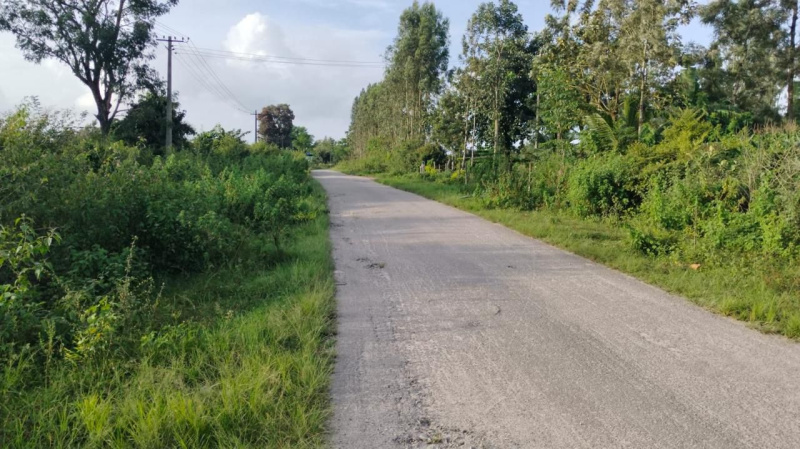 Agricultural Land 3 Acre for Sale in Alur, Hassan