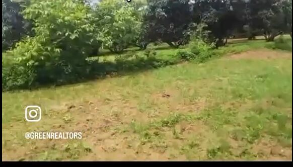  Agricultural Land 3 Acre for Sale in Ramanagara, Bangalore