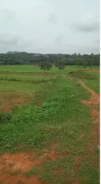  Agricultural Land 10 Acre for Sale in Ramanagara, Bangalore