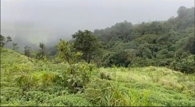  Agricultural Land 5 Acre for Sale in Mudigere, Chikmagalur