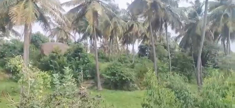  Agricultural Land 1 Acre for Sale in Kanakapura, Bangalore