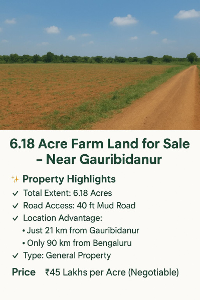  Agricultural Land 6 Acre for Sale in NH 44, ChikBallapur