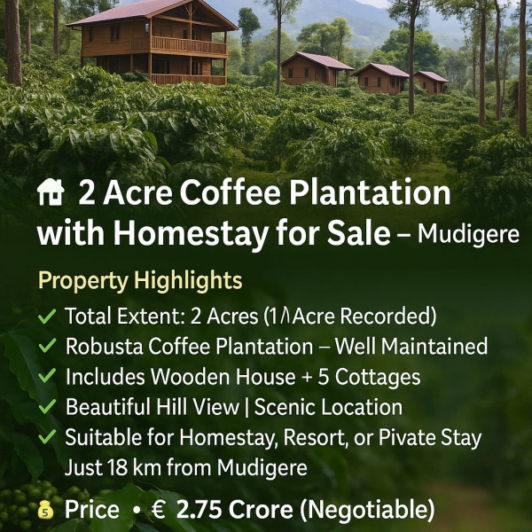  Agricultural Land 2 Acre for Sale in Mudigere, Chikmagalur