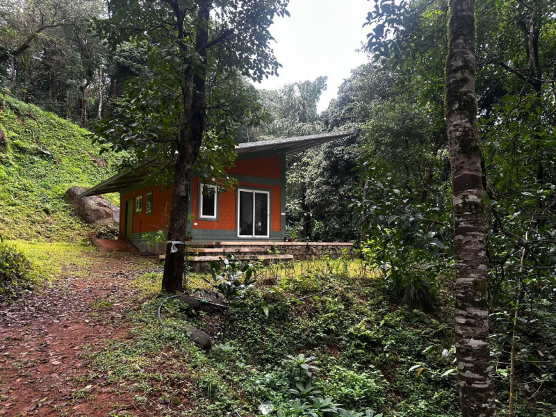  Agricultural Land 8 Acre for Sale in Joythinagar, Chikmagalur