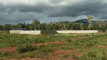  Agricultural Land for Sale in Malavalli, Mandya