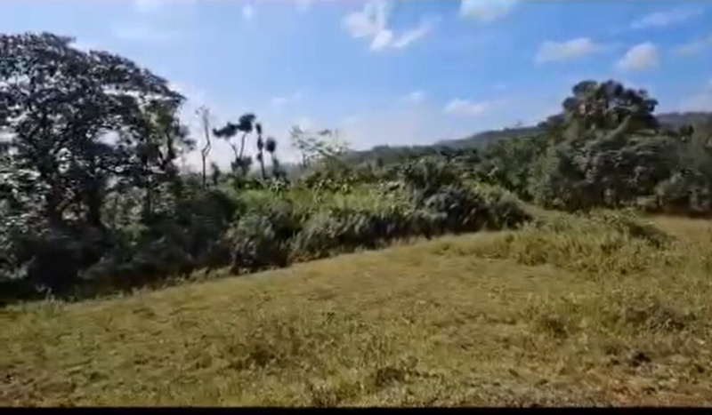  Agricultural Land 25 Acre for Sale in Sakleshpur, Hassan