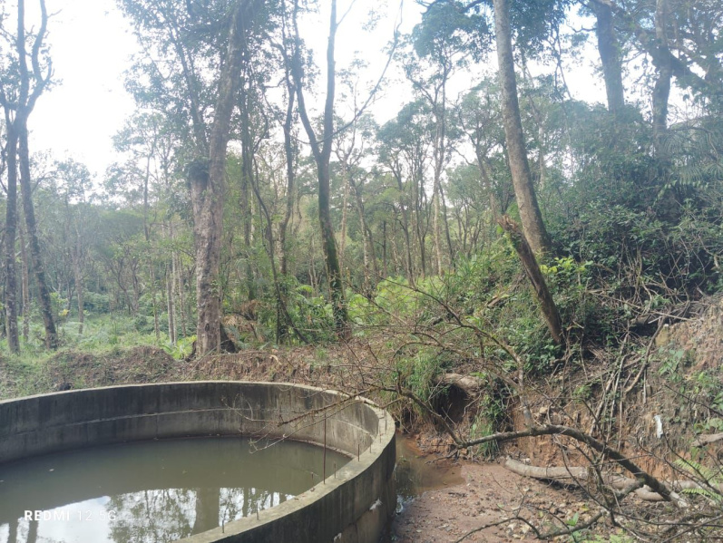  Agricultural Land 3 Acre for Sale in Mudigere, Chikmagalur