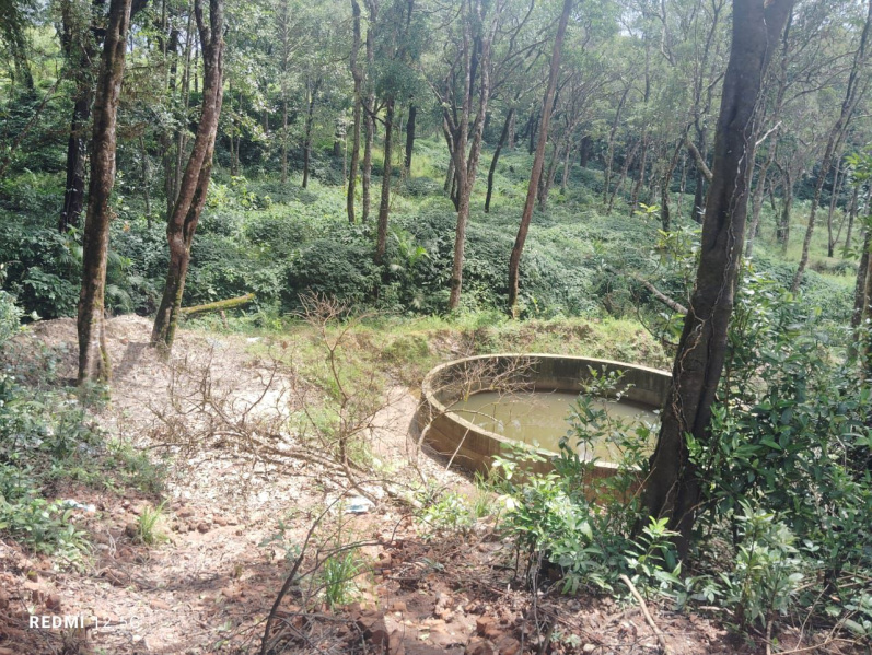  Agricultural Land 3 Acre for Sale in Mudigere, Chikmagalur