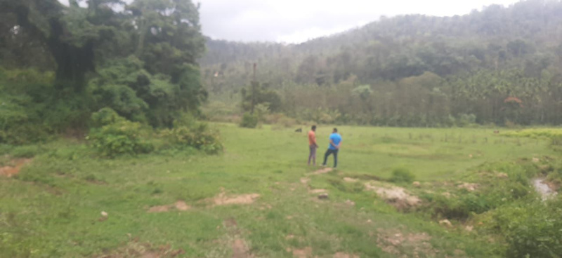  Agricultural Land 3 Acre for Sale in Sakarayapattana, Chikmagalur