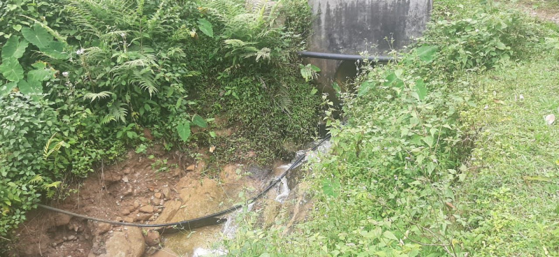  Agricultural Land 3 Acre for Sale in Sakarayapattana, Chikmagalur