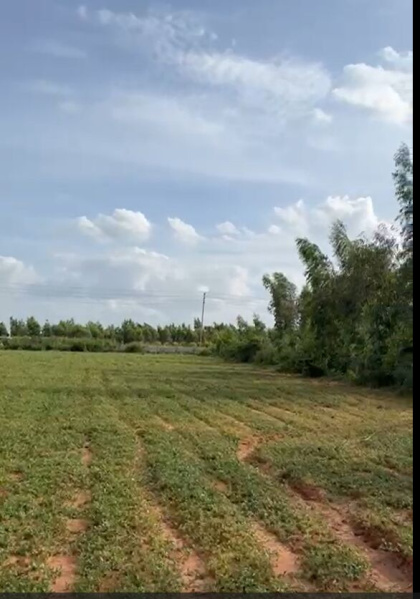  30 Guntha Agricultural/Farm Land for Sale in Doddaballapur, Bangalore