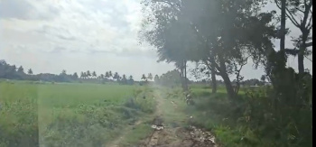  Agricultural Land for Sale in Maddur, Mandya