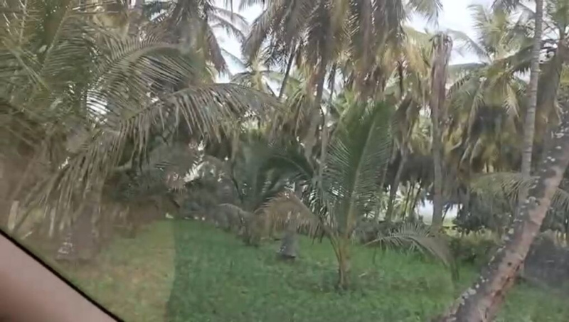  Agricultural Land 2 Guntha for Sale in Kanakapura, Bangalore