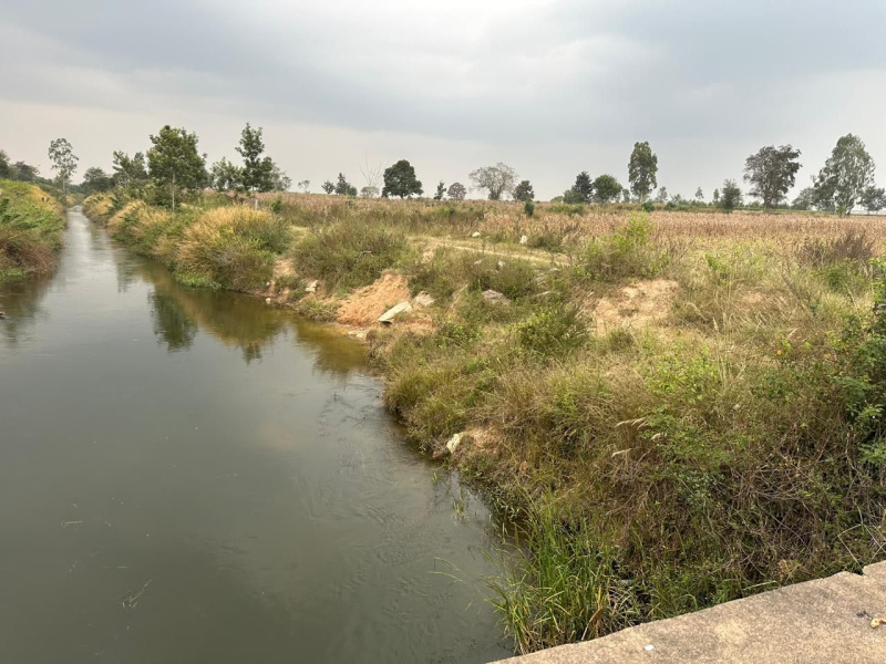  Agricultural Land 2 Acre for Sale in Mudigere, Chikmagalur