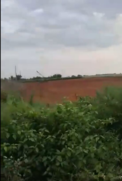  Agricultural Land 12 Acre for Sale in Malavalli, Mandya
