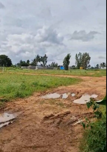  2 Acre Agricultural/Farm Land for Sale in Doddaballapur, Bangalore