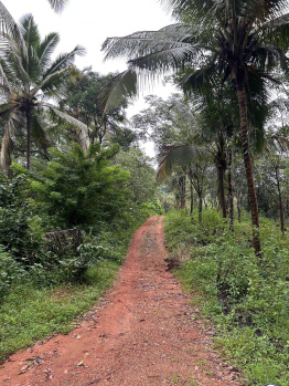  Agricultural Land for Sale in Krishnaraja Pura, Hassan