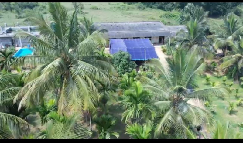  7 Acre Agricultural/Farm Land for Sale in Nelamangala, Bangalore