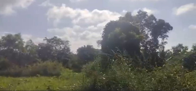 2 Acre Agricultural/Farm Land for Sale in Ramanahalli, Mysore