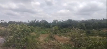  Agricultural Land for Sale in Ramanahalli, Mysore
