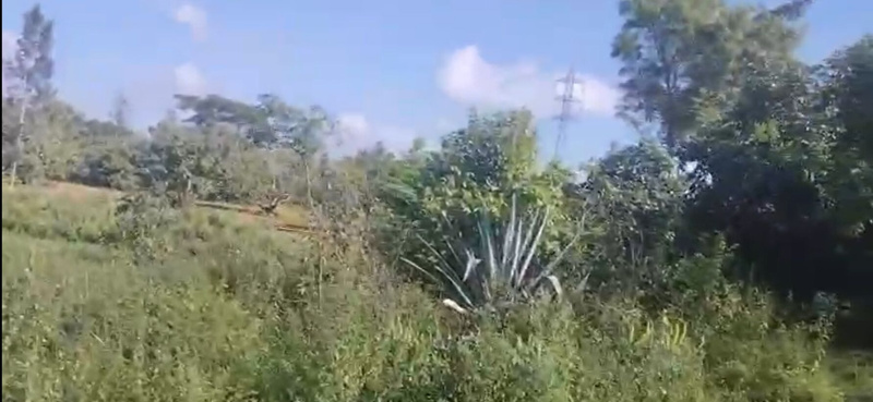  1 Acre Agricultural/Farm Land for Sale in Ramakrishna Nagar, Mysore