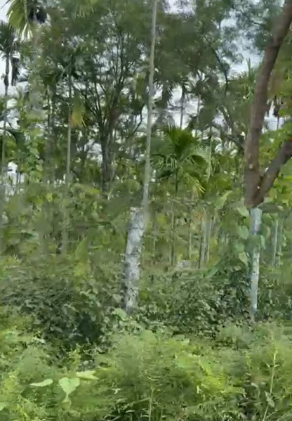  5 Acre Agricultural/Farm Land for Sale in Dodda, Banaswadi, Bangalore