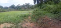  Agricultural Land for Sale in Jala Hobli, Bangalore