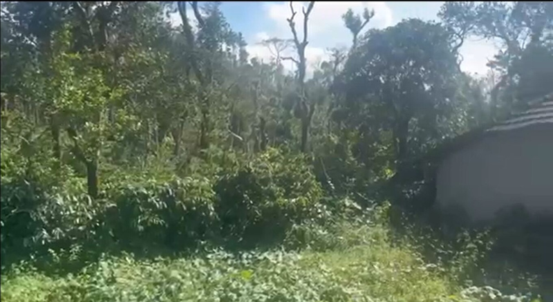  3 Acre Agricultural/Farm Land for Sale in Mudigere, Chikmagalur