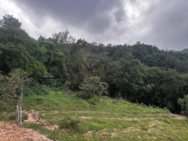  5 Acre Agricultural/Farm Land for Sale in Mudigere, Chikmagalur