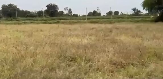  1 Acre Agricultural/Farm Land for Sale in Chikkaballapur, Bangalore