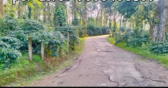  4 Acre Agricultural/Farm Land for Sale in Mallandur Road, Chikmagalur