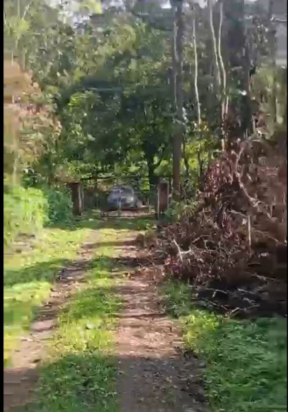  7 Acre Agricultural/Farm Land for Sale in Coorg, Mysore