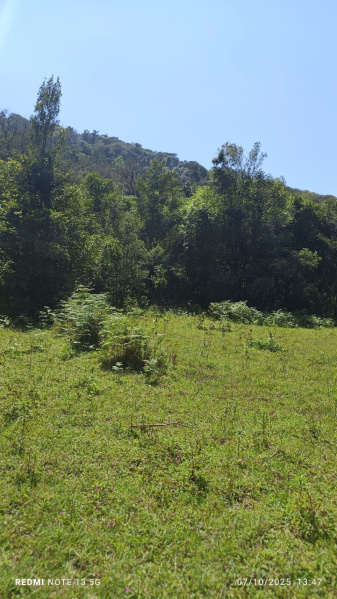  10 Acre Agricultural/Farm Land for Sale in Coorg, Mysore