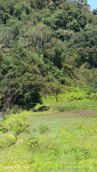  10 Acre Agricultural/Farm Land for Sale in Coorg, Mysore