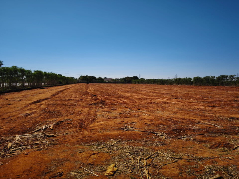 2 Acre Agricultural/Farm Land for Sale in Gandhi Nagar, Bangalore,