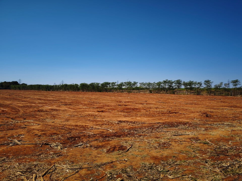 2 Acre Agricultural/Farm Land for Sale in Gandhi Nagar, Bangalore,