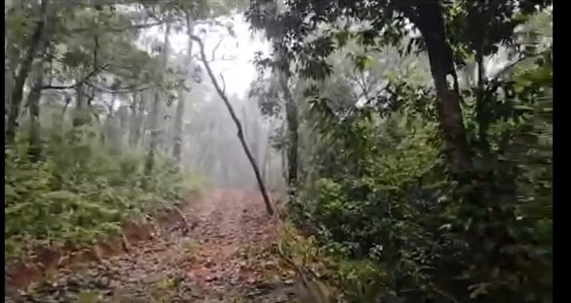  42 Acre Agricultural/Farm Land for Sale in Sakleshpur, Chikmagalur