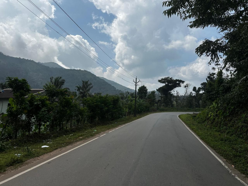  5 Acre Agricultural/Farm Land for Sale in Mudigere, Chikmagalur