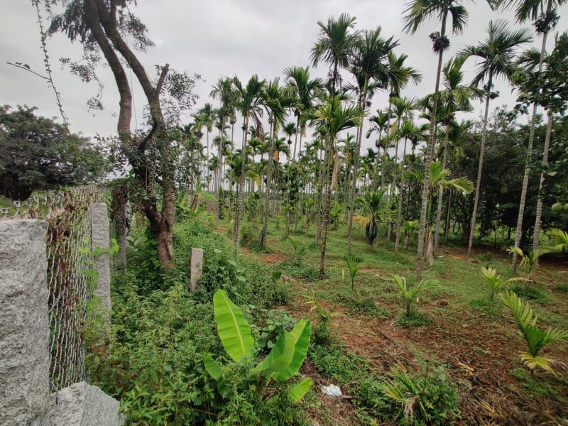  3 Acre Agricultural/Farm Land for Sale in Doddaballapur, Bangalore