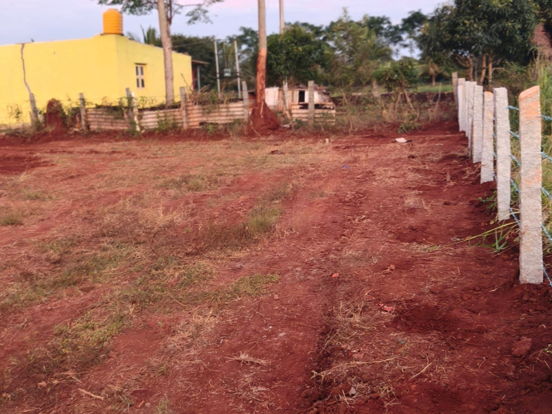  16 Guntha Commercial Land for Sale in Hessarghatta, Bangalore