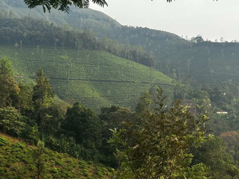  16 Acre Agricultural/Farm Land for Sale in Jayanagar, Chikmagalur