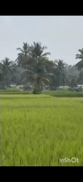  30 Guntha Agricultural/Farm Land for Sale in Mysore Road, Bangalore
