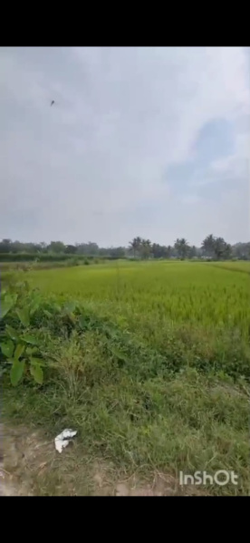  30 Guntha Agricultural/Farm Land for Sale in Mysore Road, Bangalore